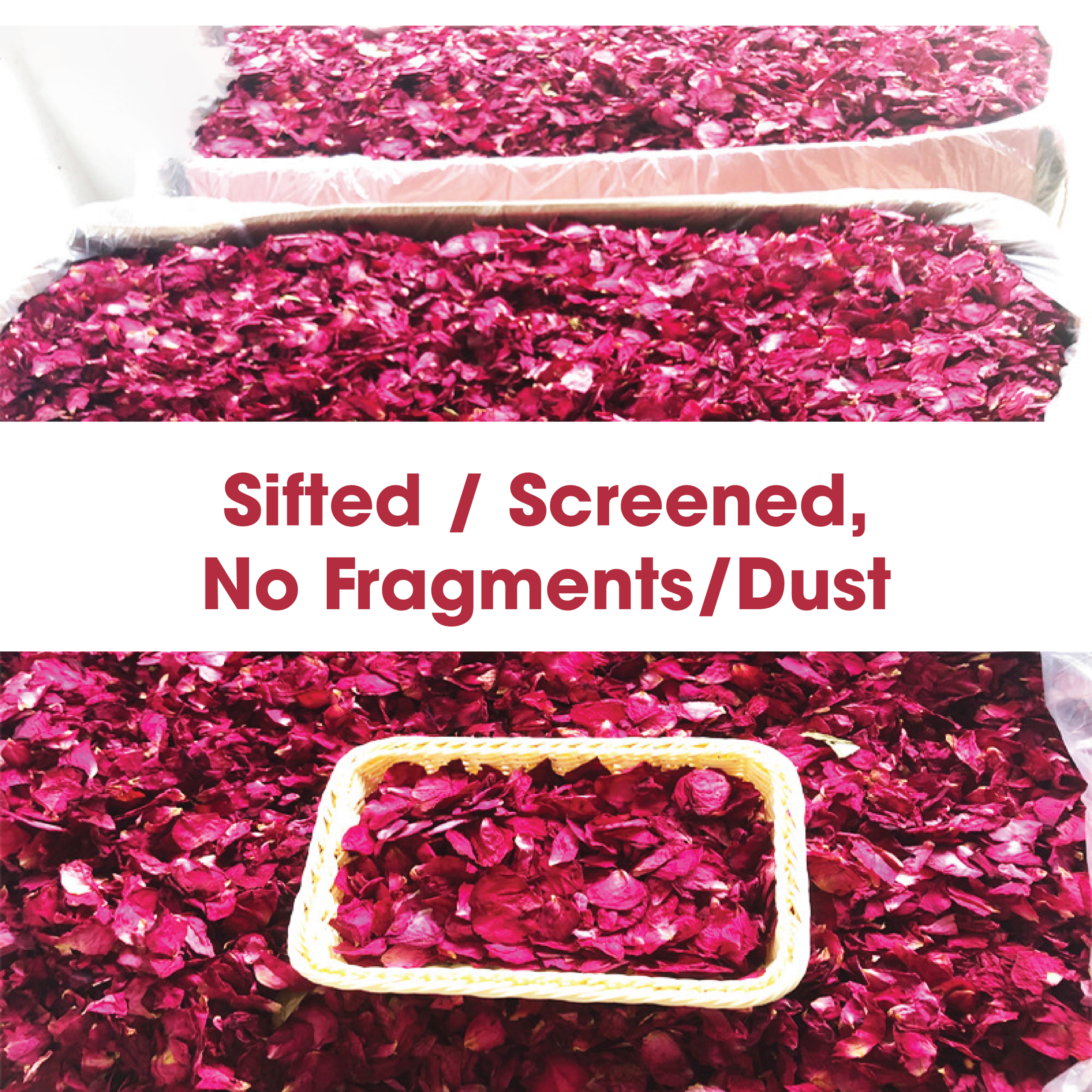 Hoa hồng khô Vân Nam