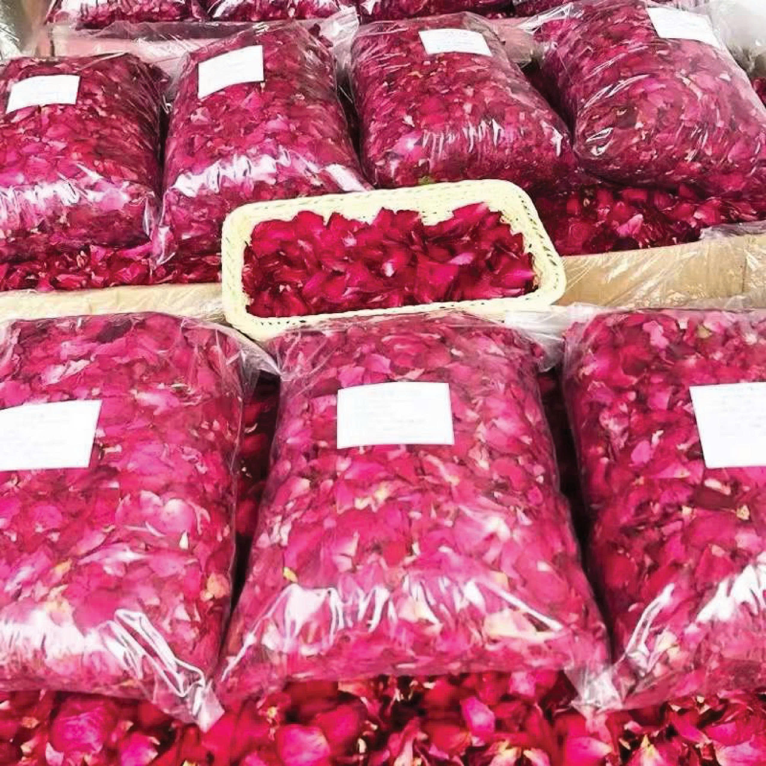 Hoa hồng khô Vân Nam